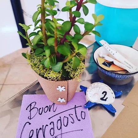 Magnolia Bed and Breakfast Silvi Marina