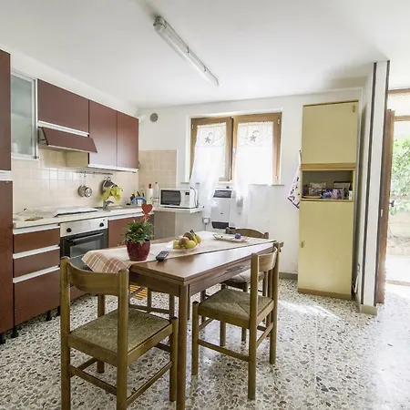 Magnolia Silvi Marina