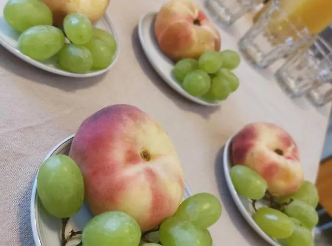 Bed & Breakfast Magnolia Silvi Marina